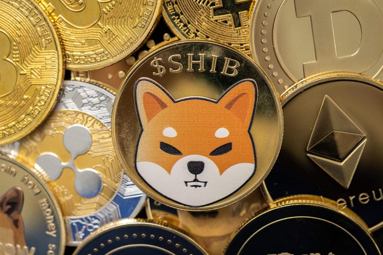 Everything you need to know about Shiba INU Coin | Torimura.com